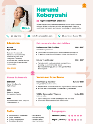 Professional Resume GOLD