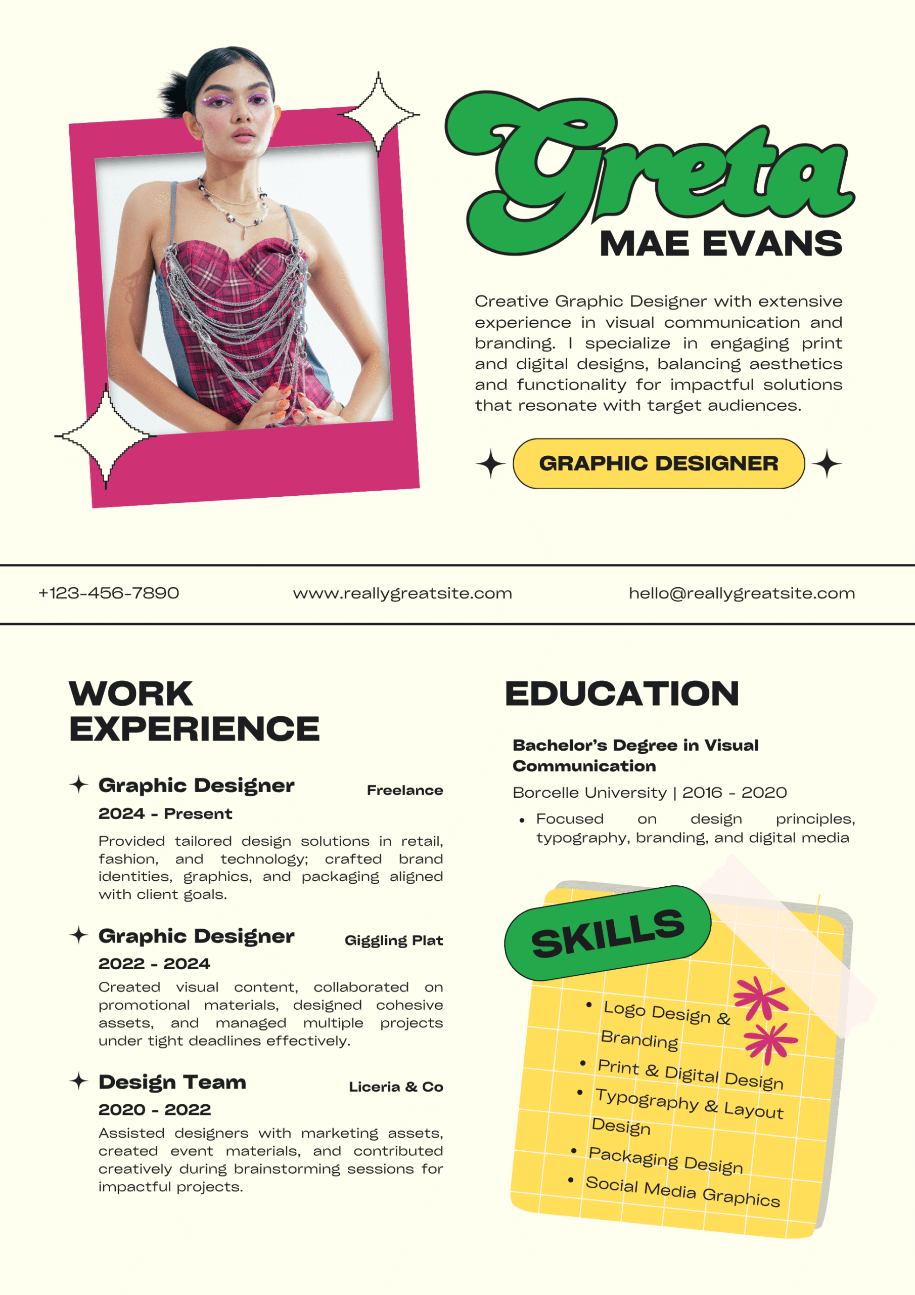 Professional CV Template FE