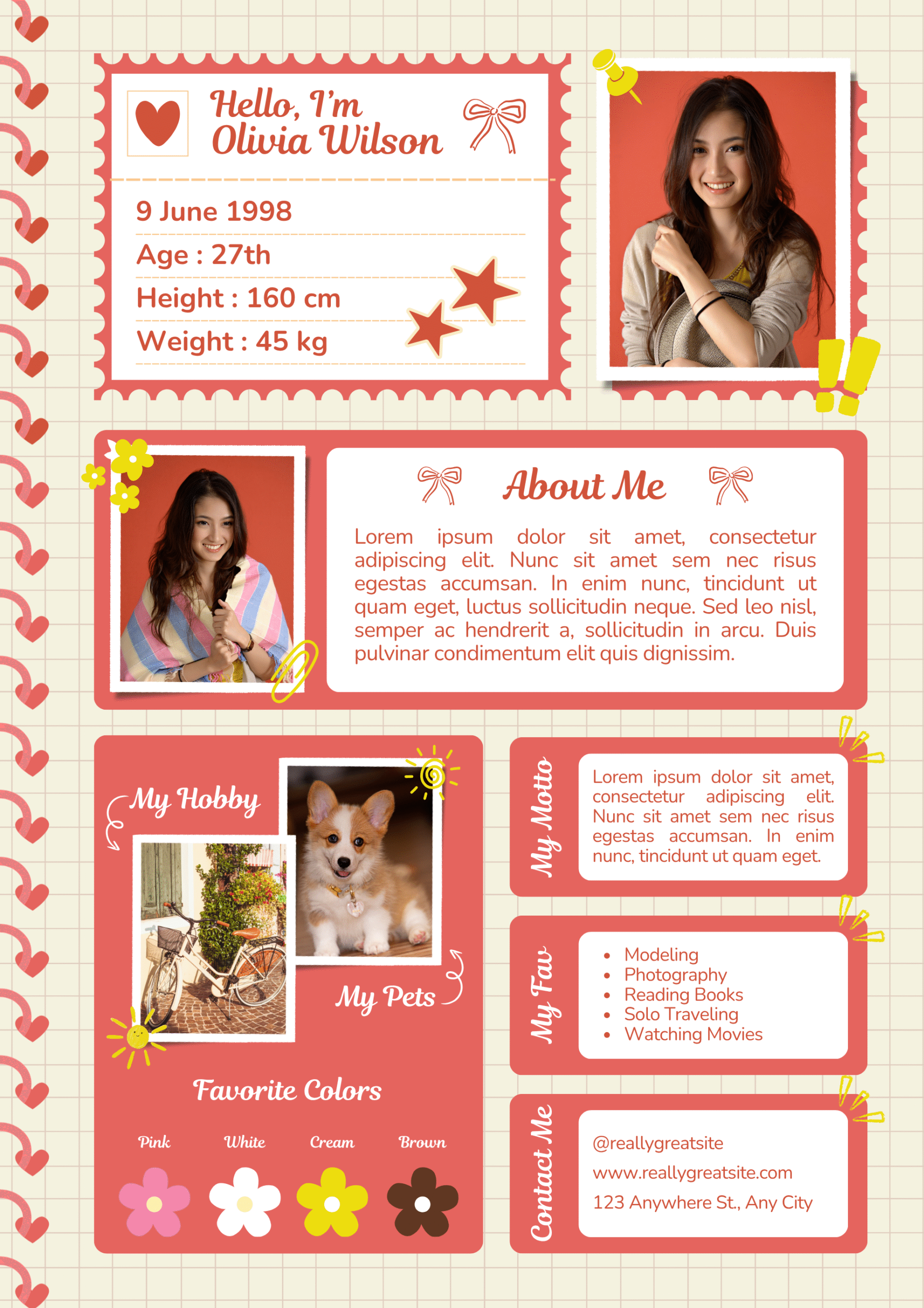 Professional CV Template FE