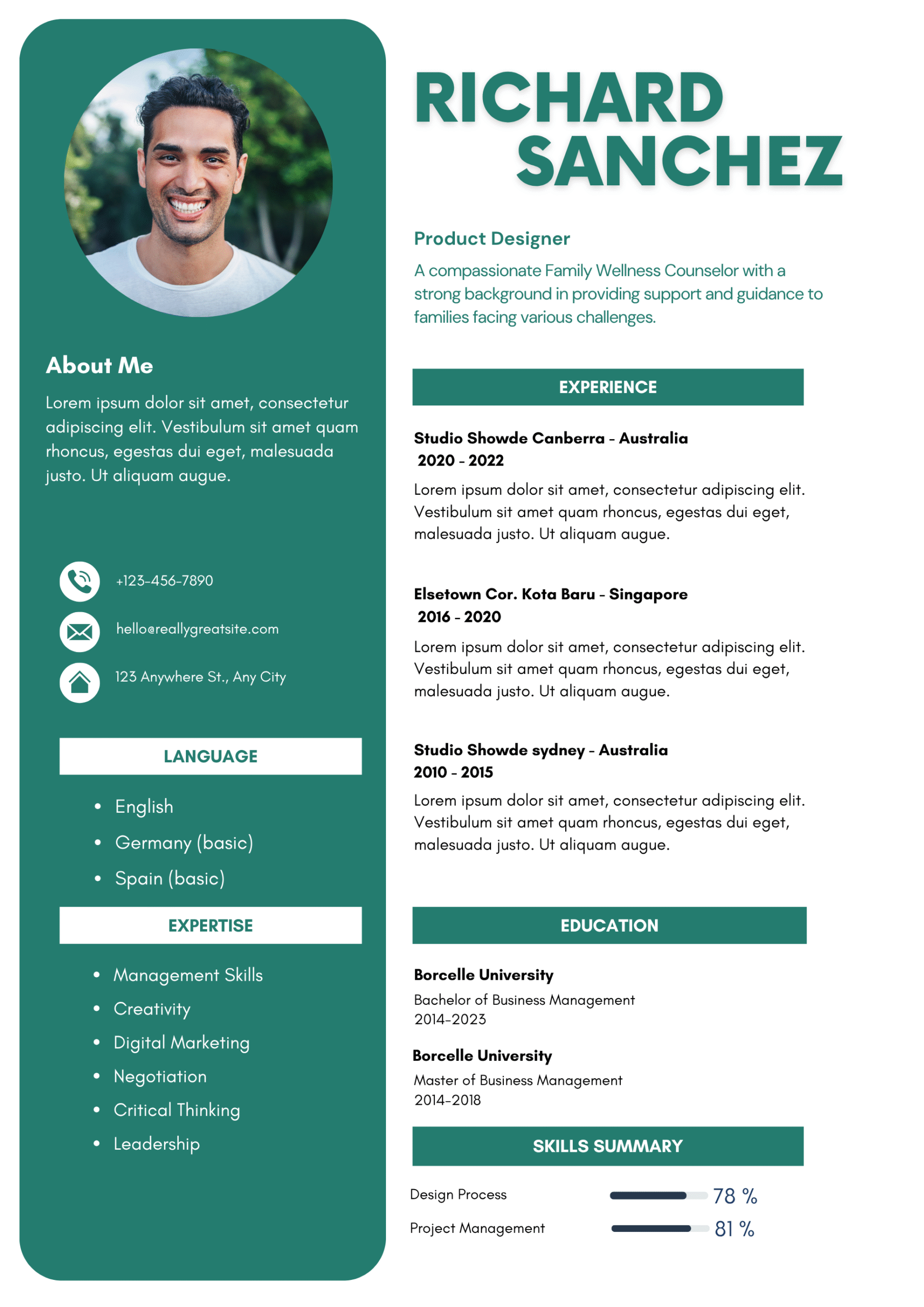 Professional CV Template BE