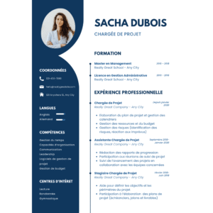 Professional Resume FBN
