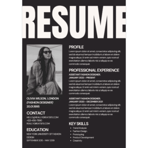 Professional CV Template LM