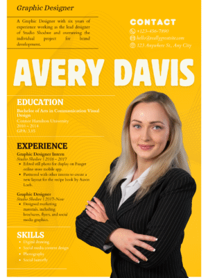 Professional CV Template FE