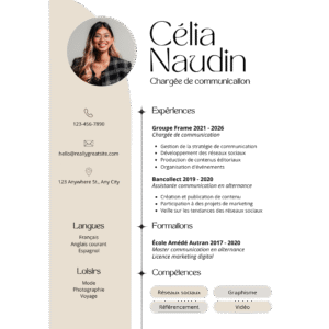 Professional CV Template FE