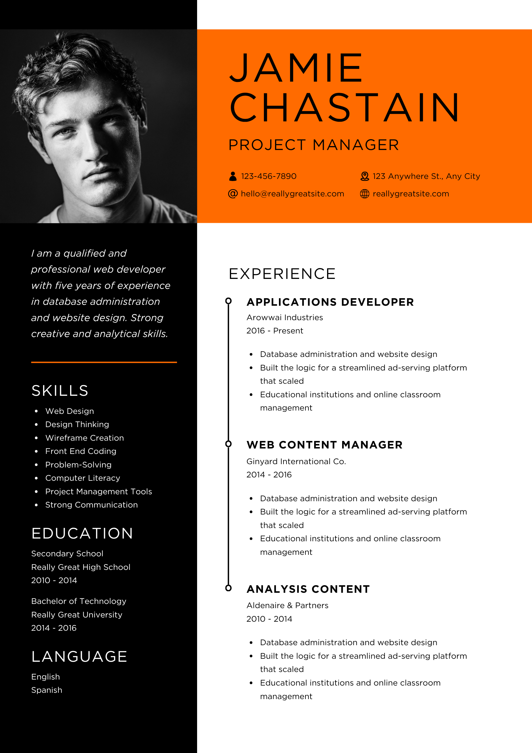 Professional CV Template TIKY
