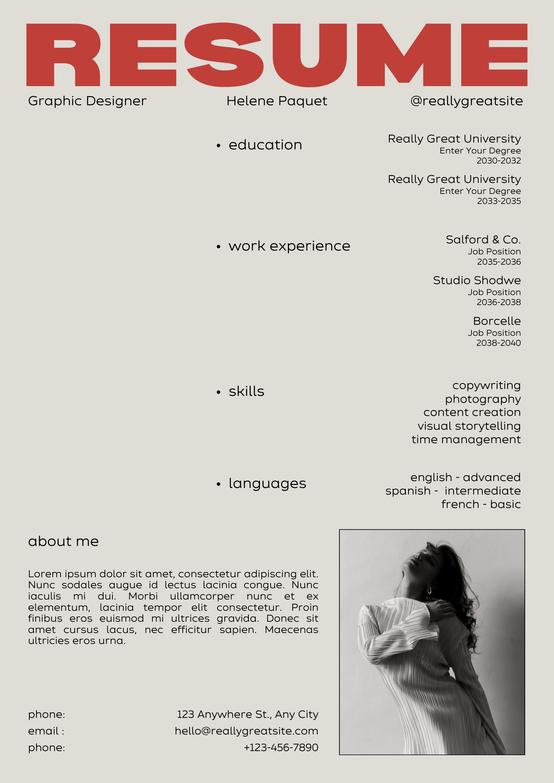 Professional CV Template BOGA