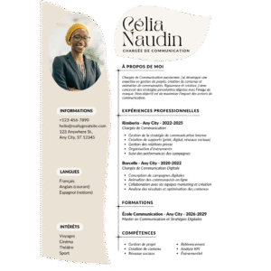 Professional CV Template FE