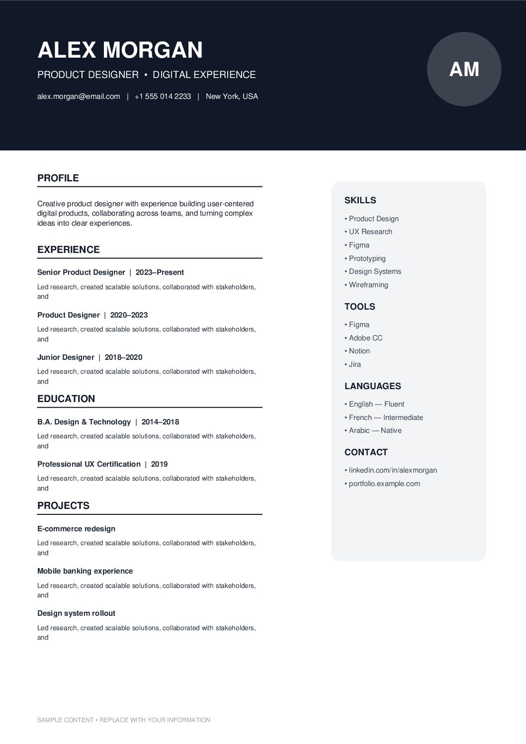 Dark Header Professional CV